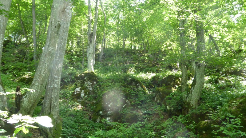 Exkurzia_Driencany_20.jpg