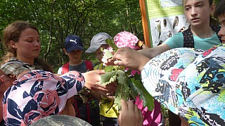 Exkurzia_Driencany_11.jpg