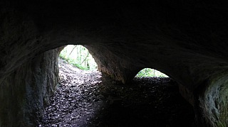 Exkurzia_Driencany_22.jpg