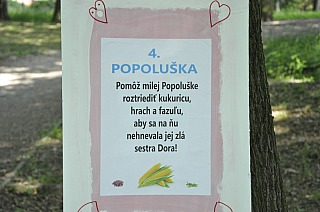 MDD_2017a_09.jpg
