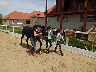 Bolkovce_na_konoch_16.jpg