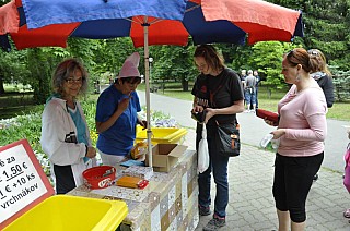 MDD_2015_01.jpg