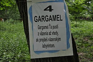 MDD_2015_16.jpg