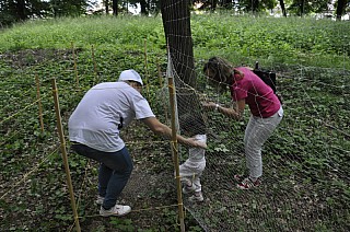 MDD_2015_17.jpg