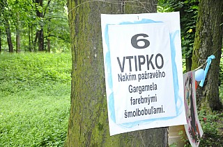 MDD_2015_31.jpg