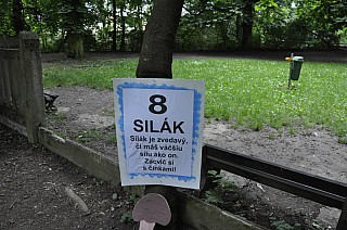 MDD_2015_34.jpg