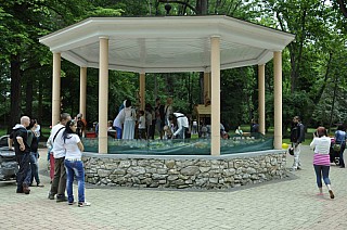 MDD_2015_41.jpg