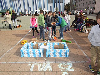 Den_zeme_2017_07.jpg