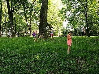 MDD_s_CVC_22.jpg