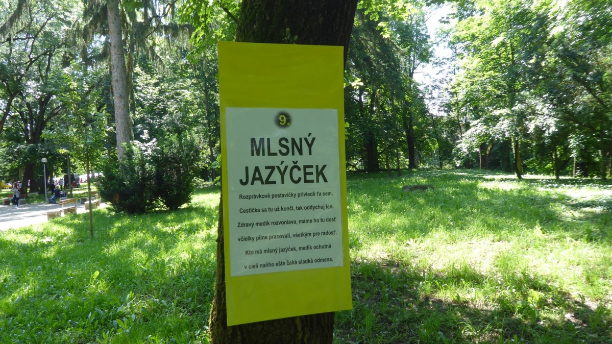 MDD_2019_17.jpg