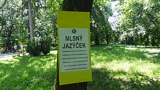 MDD_2019_17.jpg