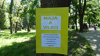 MDD_2019_21.jpg