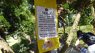 MDD_2019_29.jpg