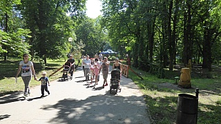 MDD_2019_30.jpg