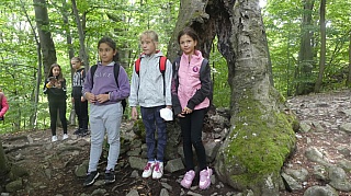 3b_hrad_Somoska_07.jpg
