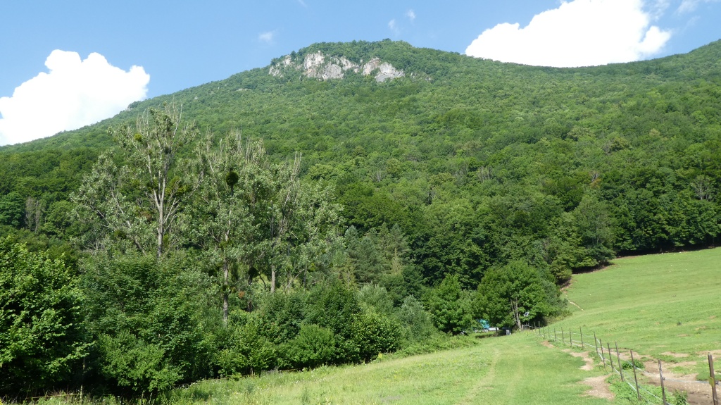 Letny_tabor_I_2021_018.jpg