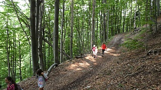 Letny_tabor_II_2021_046.jpg