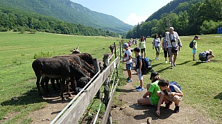 Letny_tabor_I_2021_019.jpg