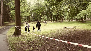 MDD_2022_08.jpg